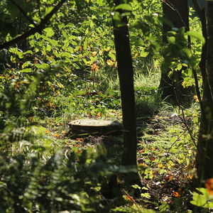 een boomschijf als gedenkteken op natuubegraafplaats Hillig Meer