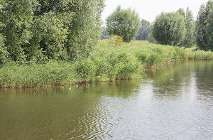 uitzicht vanuit de aula