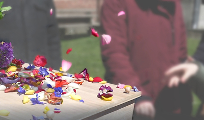 Afscheid nemen met strooibloemen - Uitvaartzorg van Stad tot Wad